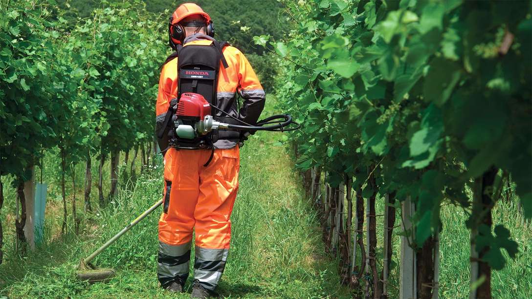 Rückentragbare Honda Freischneider, von Modell benutzt, Wiesenumgebung