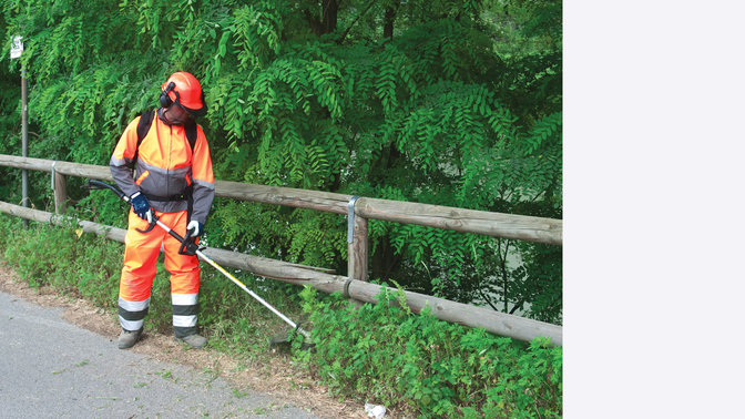 Rückentragbare Honda Freischneider, von Modell benutzt, Wiesenumgebung