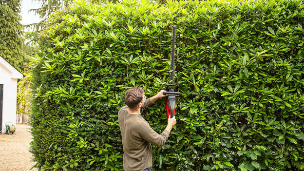 Mann mit Honda Akku-Heckenschere beim Schneiden einer Hecke im Garten.