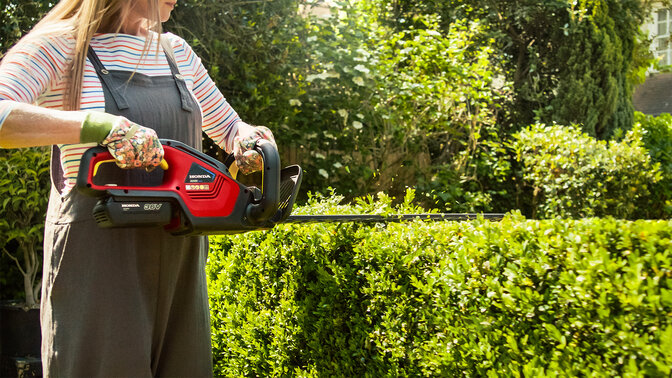 Frau mit Honda Akku-Heckenschere beim Schneiden einer Hecke im Garten