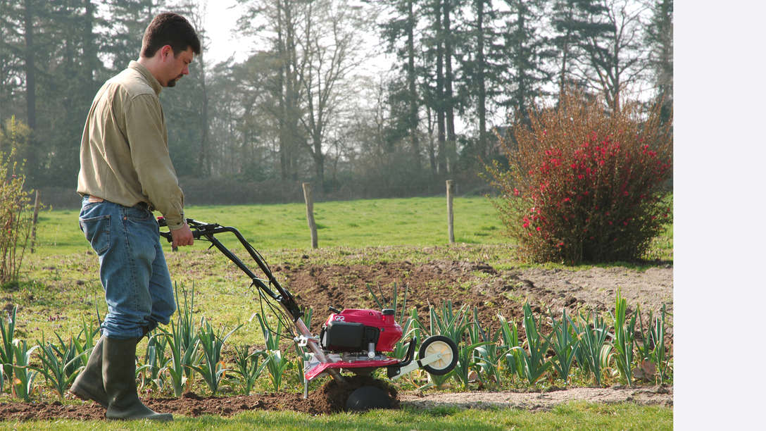 Mini-Motorhacke, nach rechts zeigend, Verwendung nach Modell, Gartenumgebung.