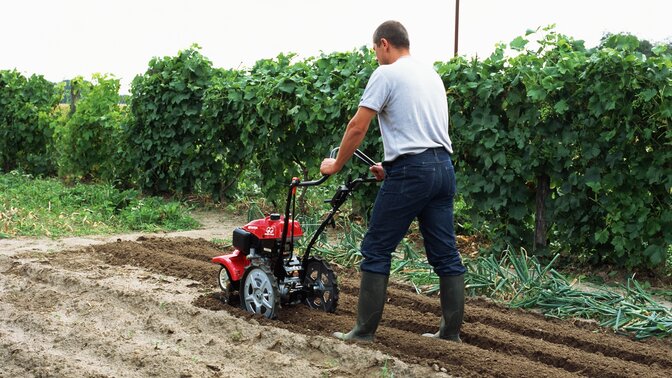 Motorfräse, Verwendung nach Modell, Gartenumgebung.