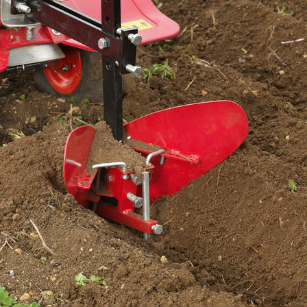 Nahaufnahme des Häufelkörpers, Gartenumgebung.