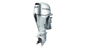 BF60 in der Dreiviertel-Vorderansicht