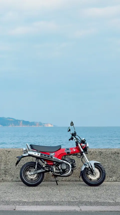 Dax 125 abgestellt, Seitenansicht mit Fahrer und Sozius 