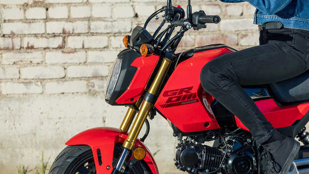 MSX125 Grom, Upside-Down-Gabel vorn