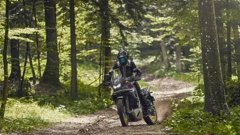 XL750 Transalp mit Model in einem Wald.