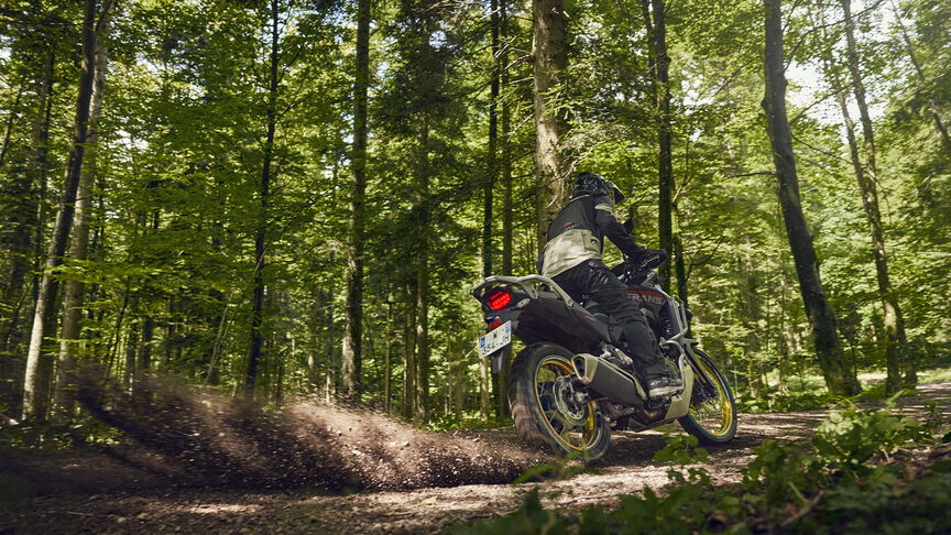 Model fährt XL750 Transalp-Motorrad in einem Waldgebiet.