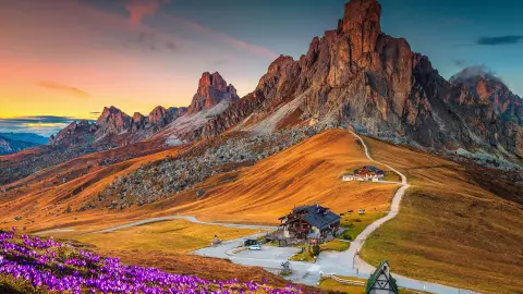 Wunderschöne Alpenlandschaft mit blühenden Frühlings-Krokussen und spektakulären Bergen im Sonnenuntergang, Giau-Pass, Dolomiten, Italien, Europa