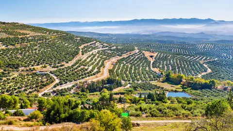 Klassische Gebirgslandschaft Spaniens im Sommer mit Blick auf die Straße