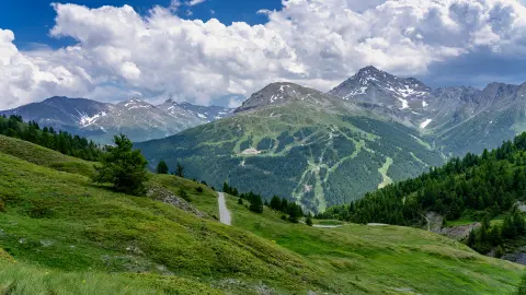 Malerische Straße unter blauem Himmel entlang der Mittelmeerküste im französisch-italienischen Grenzgebiet.