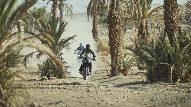 Africa Twin Fahrer, die eine Oase durchqueren.