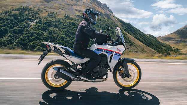 Wirbelsäulenprotektoren