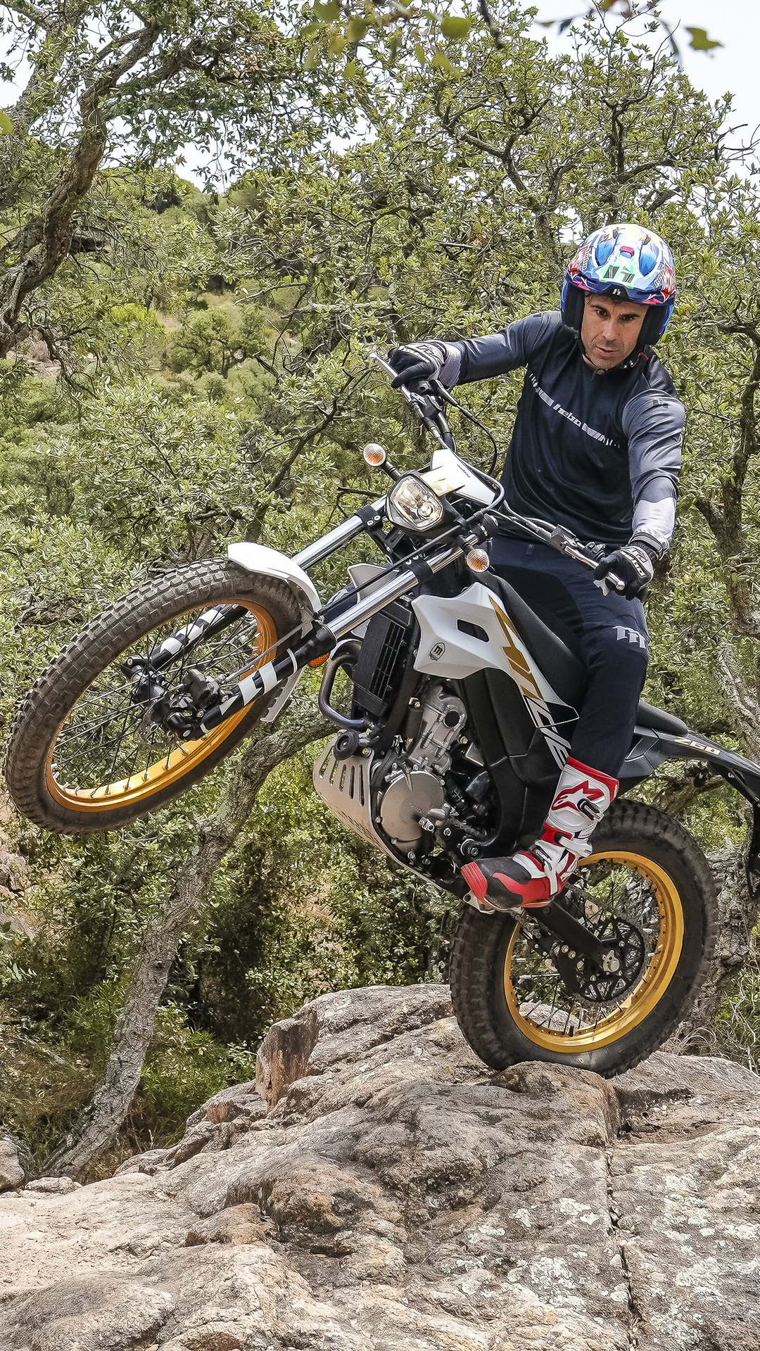 Ein Motorradfahrer hebt das Vorderrad einer Montesa 4RIDE auf einem felsigen Waldweg an.