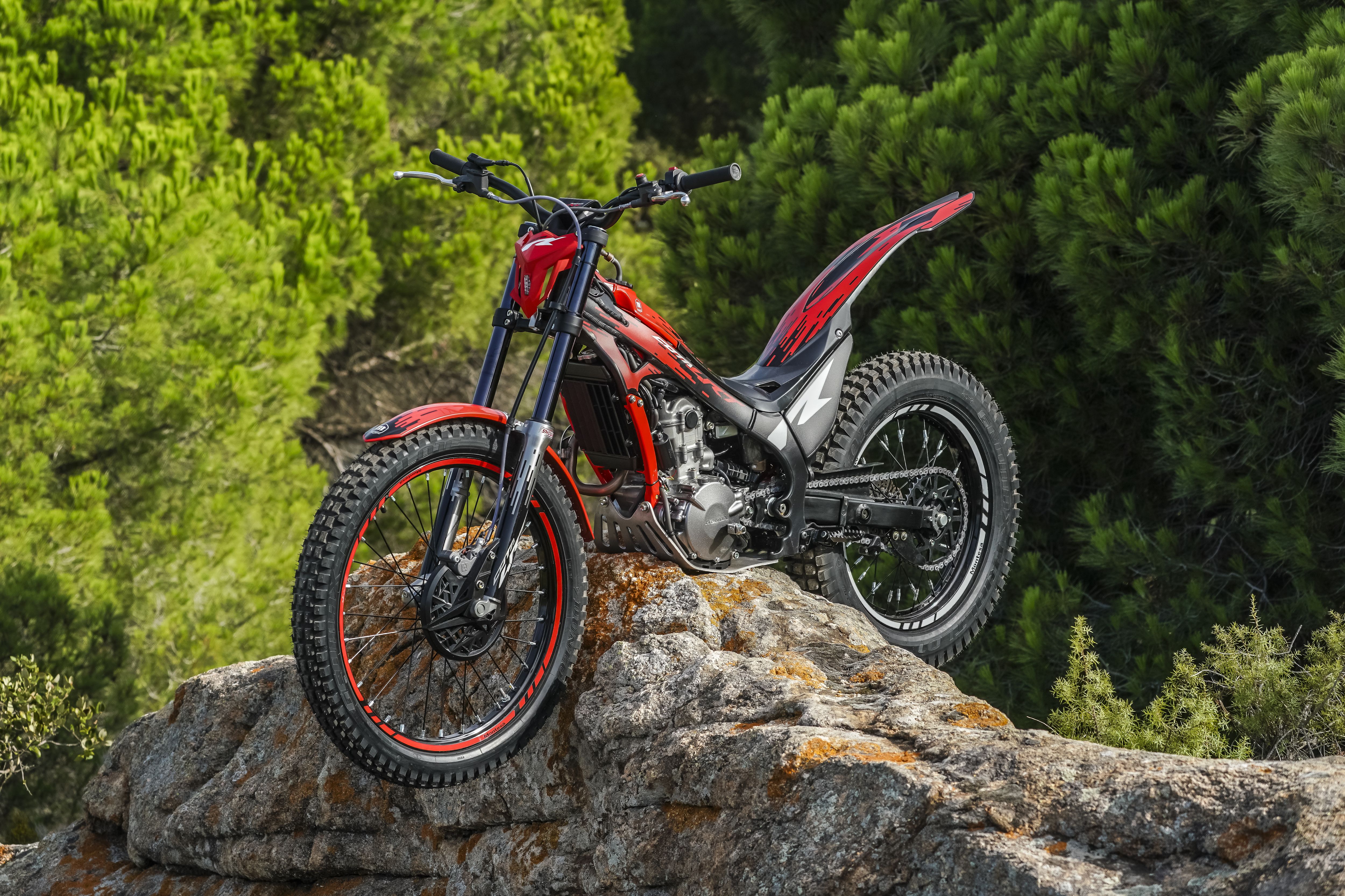 Ein Montesa Cota 260R Trial-Bike steht auf einem Felsvorsprung in einer Waldlandschaft.