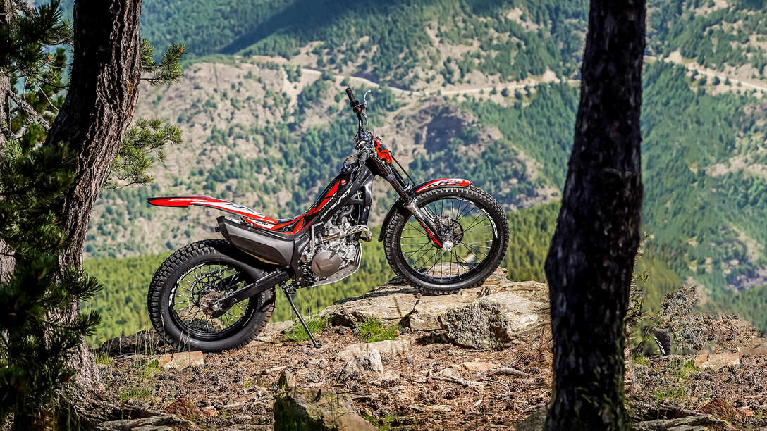 Seitenansicht Honda Montesa Cota 4RT 260R im Wald.
