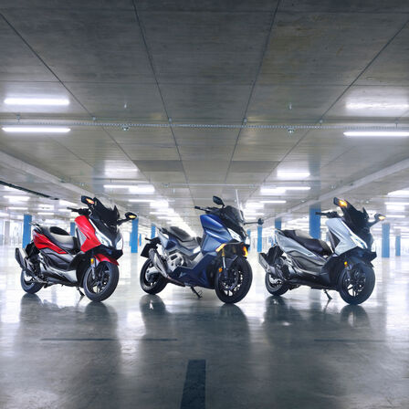 Honda Forza Familie