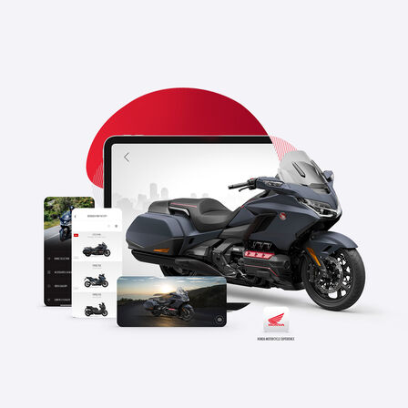 Ansicht der Honda GL800 Gold Wing in der App