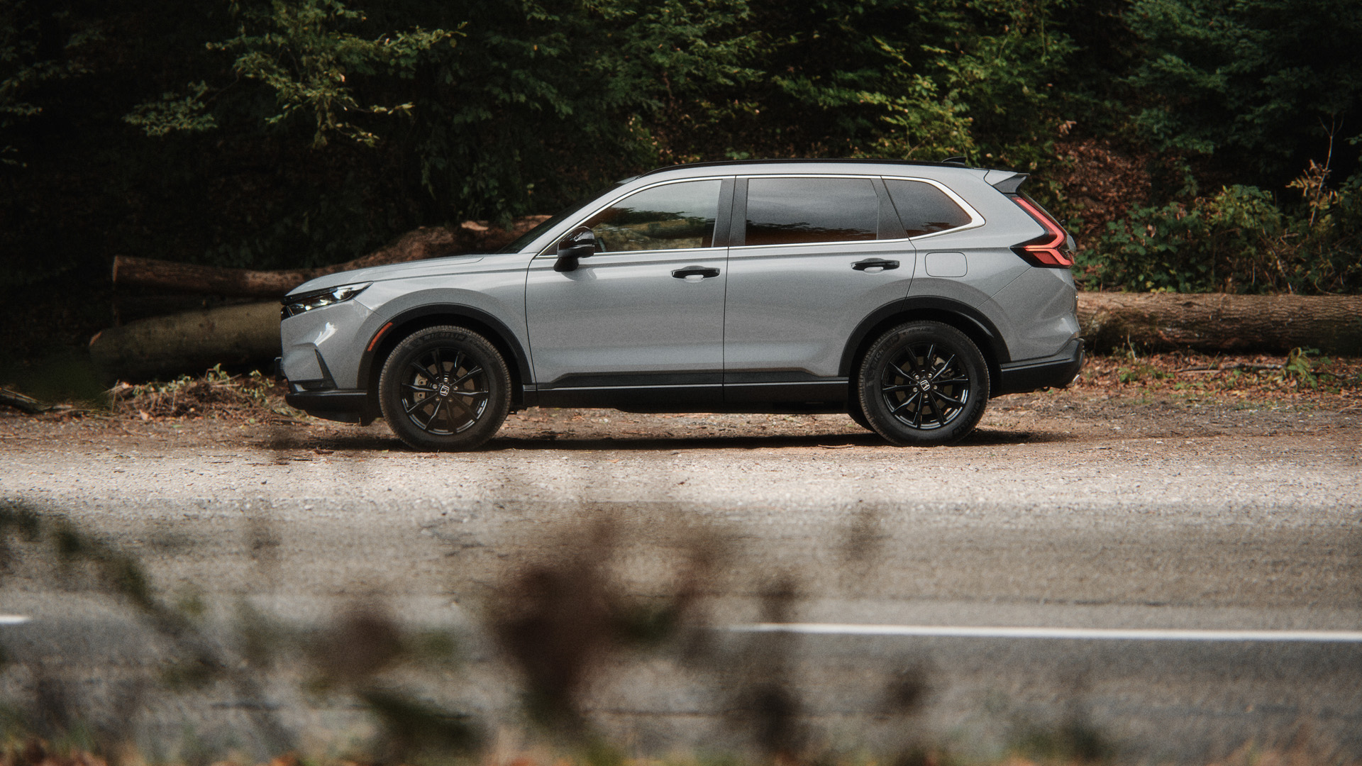 Ein grauer CR-V im Profil, der am Strassenrand am Waldrand steht