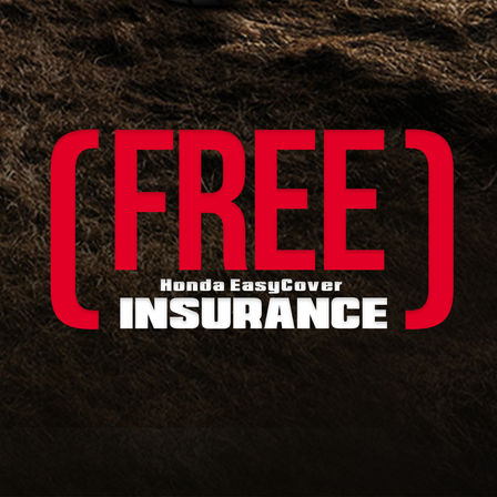 free insurance
