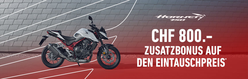 Honda hornet 750 promo