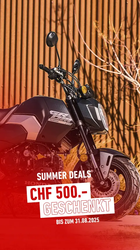 MSX125 Grom-Fahrer fahren zusammen