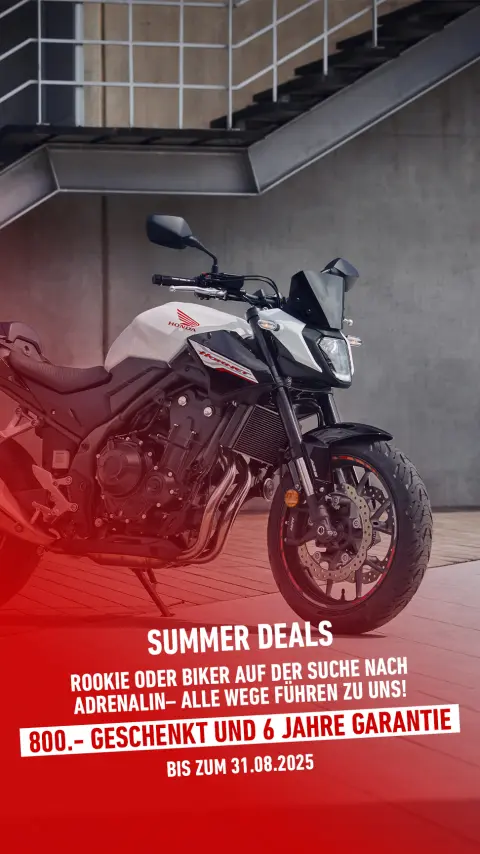 CB500 Hornet, Seitenansicht mit Fahrer