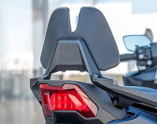 Beifahrer-Rückenlehne